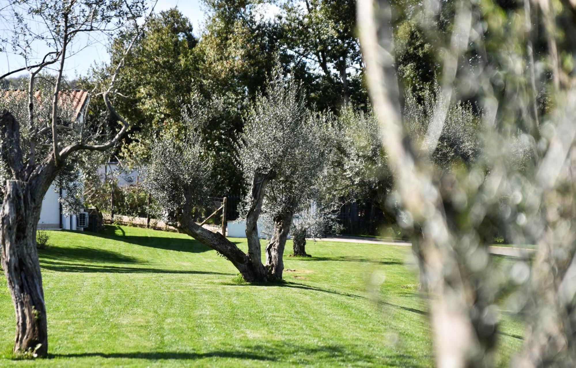 Vigna Caio Relais & Spa (Adults Only) Браччано Экстерьер фото